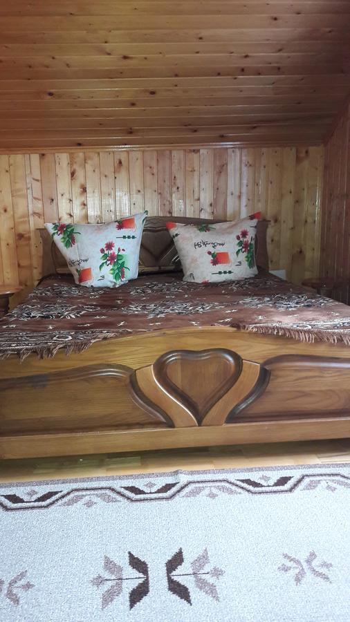 Guest house U Romana Yaremche